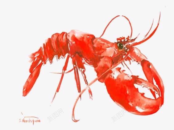 水彩龙虾png免抠素材_新图网 https://ixintu.com 大龙虾 海鲜 红龙虾 龙虾插画 龙虾装饰