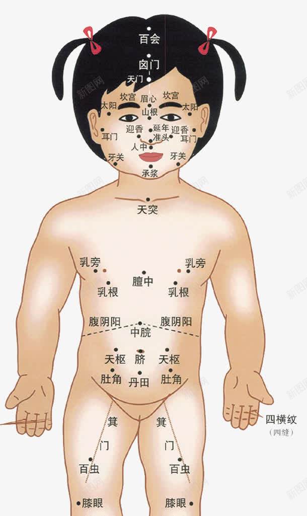 少儿穴位png免抠素材_新图网 https://ixintu.com 人体 人体穴位 小儿推拿 小孩推拿 少儿 推拿 穴位