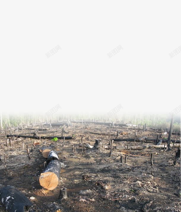 荒地png免抠素材_新图网 https://ixintu.com 土地 树干 荒地 风景素材