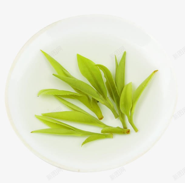 冲泡后的毛尖茶png免抠素材_新图网 https://ixintu.com 展开的嫩叶 毛尖茶 毛尖雀舌 竹叶茶 舒展茶叶 茶底嫩芽