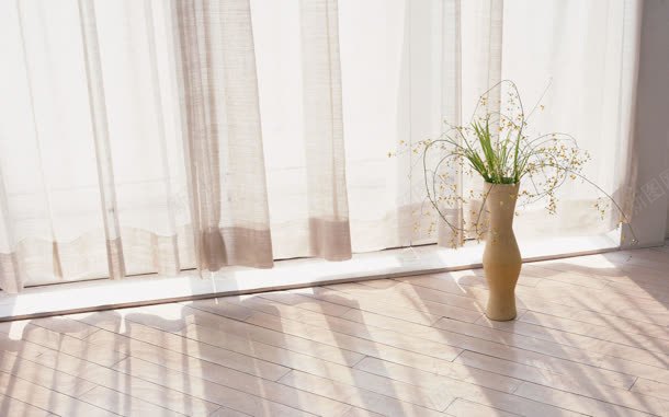 干净简洁的室内花盆jpg设计背景_新图网 https://ixintu.com 室内 干净 简洁 花盆