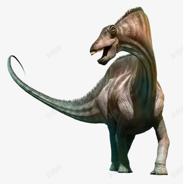 阿马加龙属灭绝生物实物png免抠素材_新图网 https://ixintu.com 动物 史前动物 大型 巨大 死亡 殆尽 消失 灭亡 灭绝生物 爬行动物 物种 生命体 绝种 食肉动物