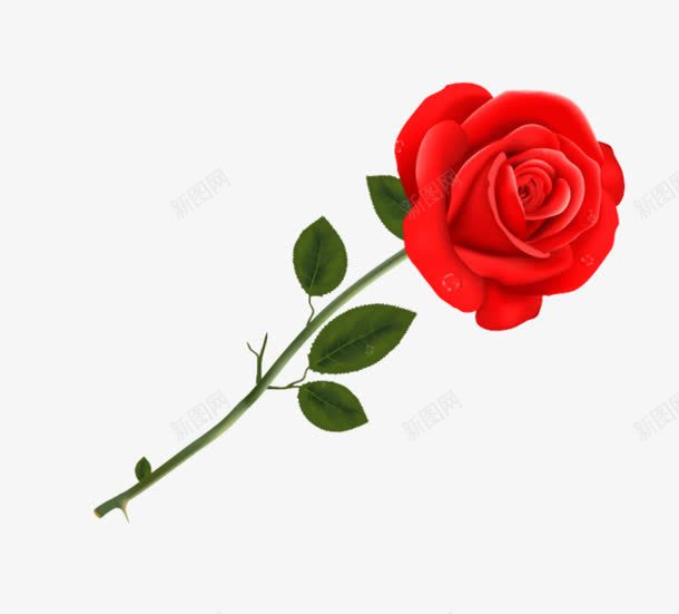 手绘红色花朵玫瑰花绿叶png免抠素材_新图网 https://ixintu.com 玫瑰花 红色 绿叶 花朵