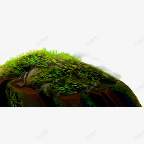 石头上的青苔png免抠素材_新图网 https://ixintu.com 小草 石头 石缝中的小草 青苔