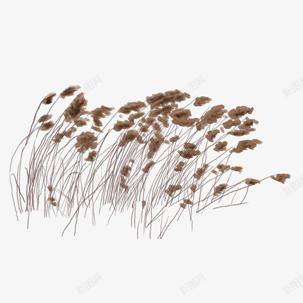 卡通芦苇psd免抠素材_新图网 https://ixintu.com PNG图 PNG图下载 创意卡通 卡通 卡通插图 插图 秋天 秋天植物 秋季 芦苇