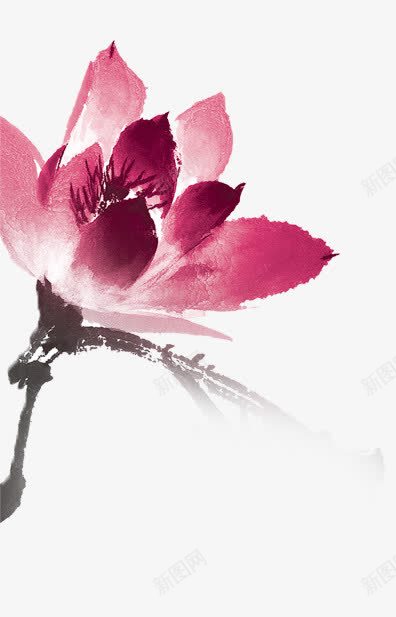 手绘莲花粉红莲花png免抠素材_新图网 https://ixintu.com 手绘 粉红 莲花
