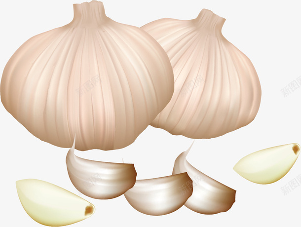 卡通大蒜装饰插画png免抠素材_新图网 https://ixintu.com 健康蔬菜 卡通大蒜蔬菜 大蒜 大蒜食物 蒜瓣 蔬菜 蔬菜插画