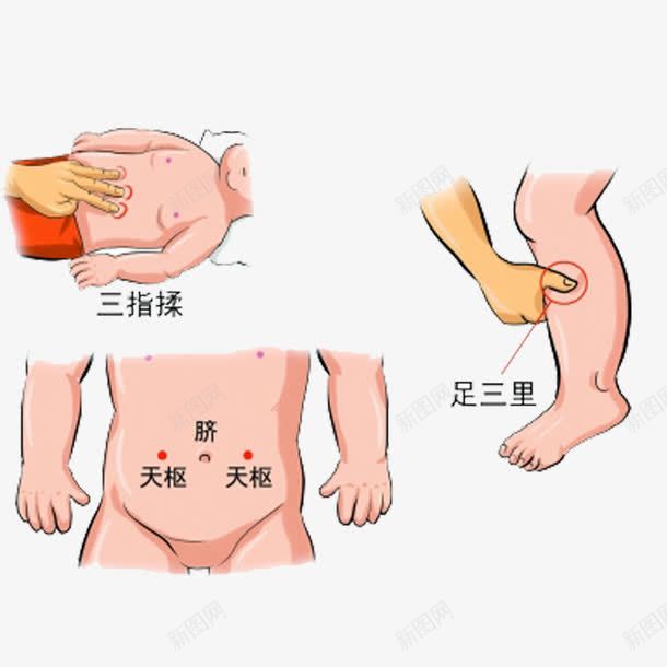 推拿穴位图png免抠素材_新图网 https://ixintu.com 健康 小儿 小儿推拿 教育 穴位