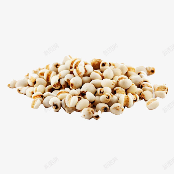 薏仁药食健康养生png免抠素材_新图网 https://ixintu.com 中医 健康 养生 药食 薏仁 食品 食补