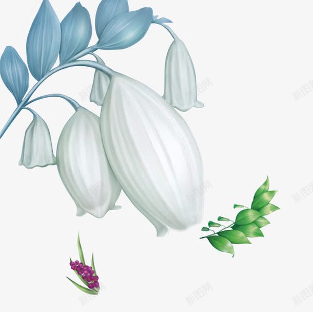 蓝色白玉兰与树叶手绘图png免抠素材_新图网 https://ixintu.com 插画 树叶 浪漫 爱情 白玉兰 绿色 蓝色