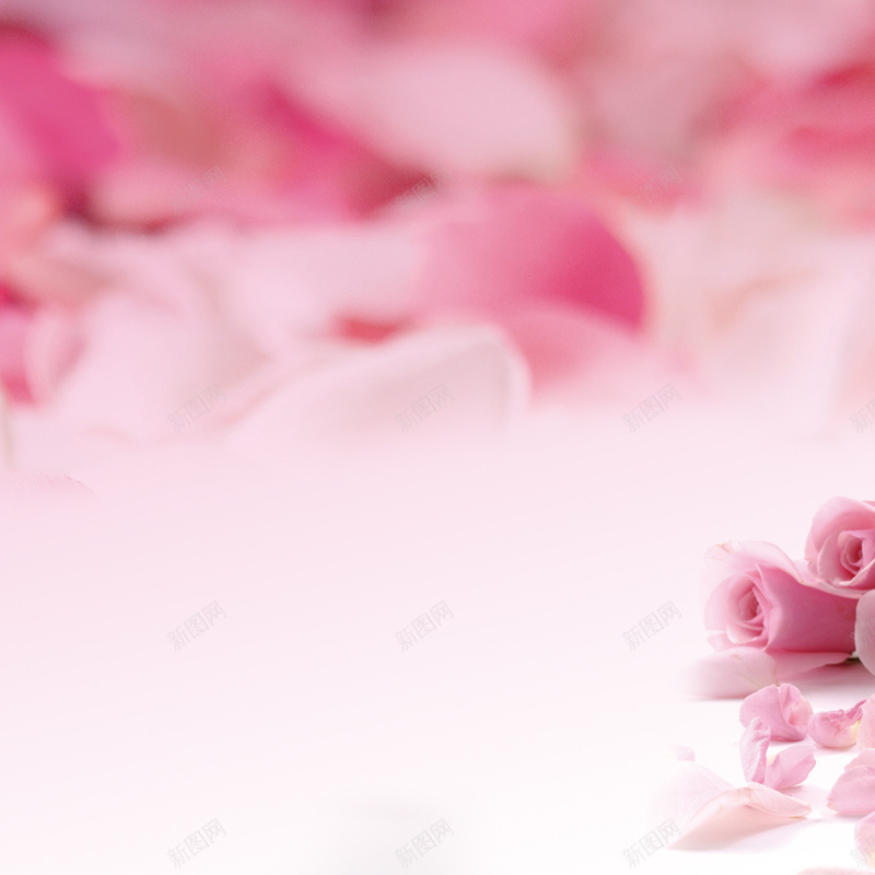浪漫花朵背景jpg设计背景_新图网 https://ixintu.com 主图 化妆品主图 唯美背景 唯美花朵 梦幻 浪漫 粉色 花朵 花瓣