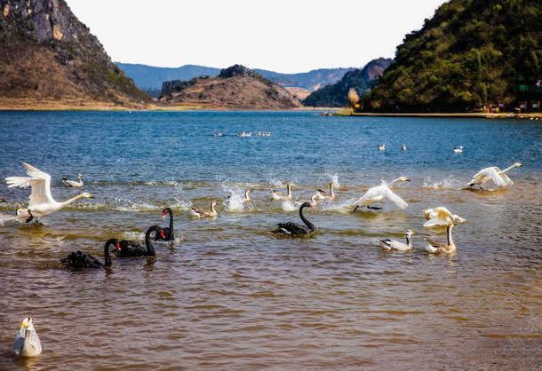 云南普者黑风景矢量图eps免抠素材_新图网 https://ixintu.com 云南 旅游 景点 著名 风景 矢量图