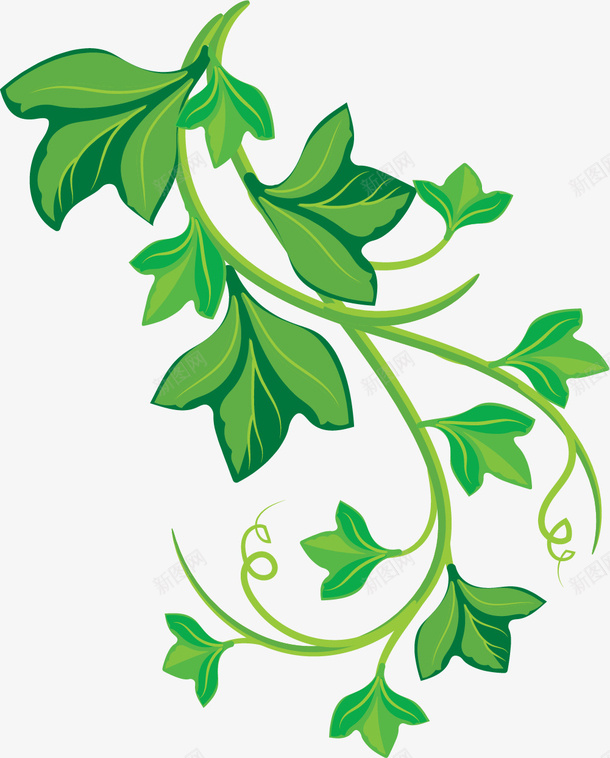 绿色描边卡通风格png免抠素材_新图网 https://ixintu.com 卡通常春藤 常青藤 植物藤蔓 矢量常春藤 绿色描边 藤蔓