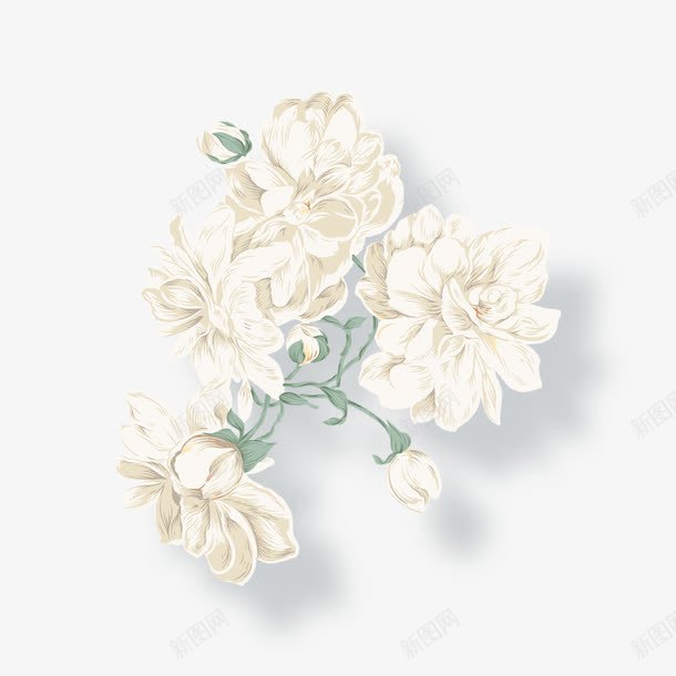 素雅的花png免抠素材_新图网 https://ixintu.com 剪纸效果 平面海报 手绘风格 白色 素雅素净 网页 花朵