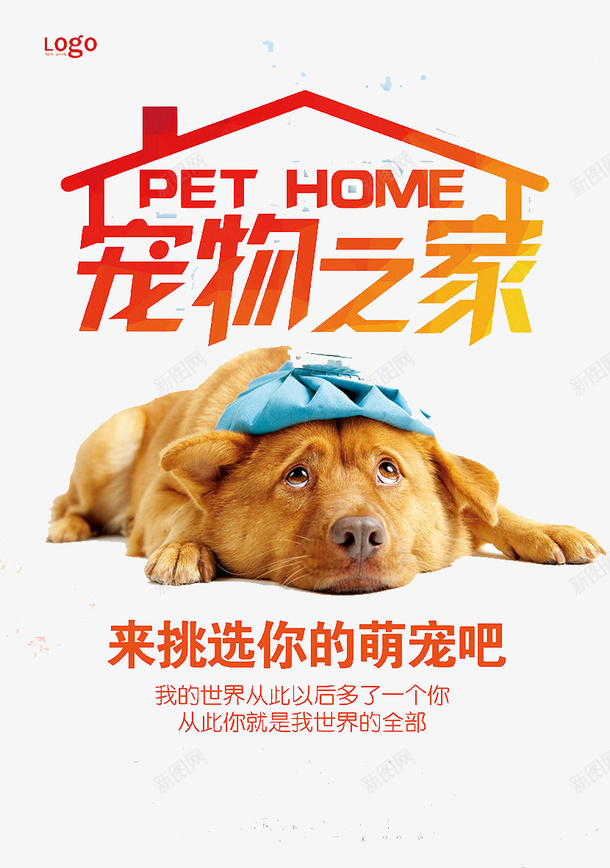 宠物之家psd免抠素材_新图网 https://ixintu.com 动物 可爱 实体图 宠物