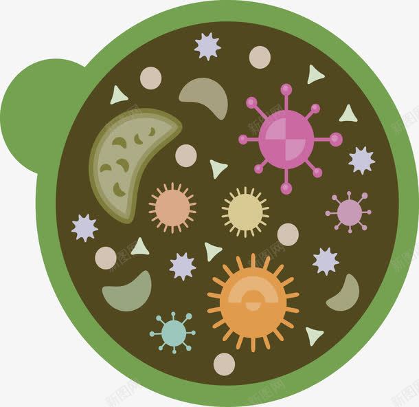 生物知识png免抠素材_新图网 https://ixintu.com 大肠杆菌 微生物 生物教学 病毒 高中生物