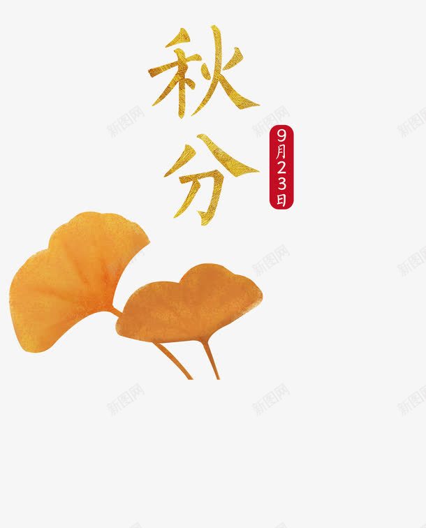 秋分9月23日银杏叶png免抠素材_新图网 https://ixintu.com 秋分 银杏叶