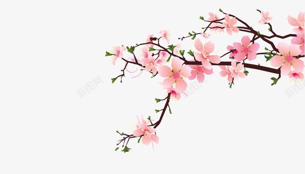 水墨桃花png免抠素材_新图网 https://ixintu.com 卡通 手绘 枝干 桃花 水墨 粉色 花朵 黑色