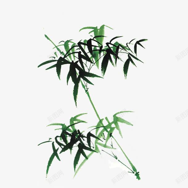 彩绘植物竹子水墨竹子png免抠素材_新图网 https://ixintu.com 彩绘 植物 水墨 竹子
