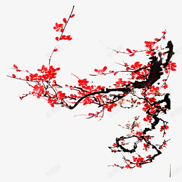 手绘花梅花水墨风psd免抠素材_新图网 https://ixintu.com 树枝 梅花 水墨 红色