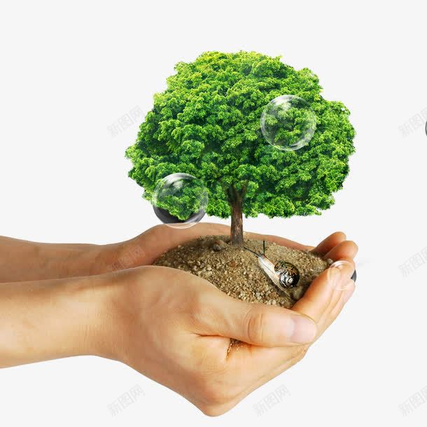 双手捧着树木psd免抠素材_新图网 https://ixintu.com 双手捧起 双手捧起树 捧着 捧起 树