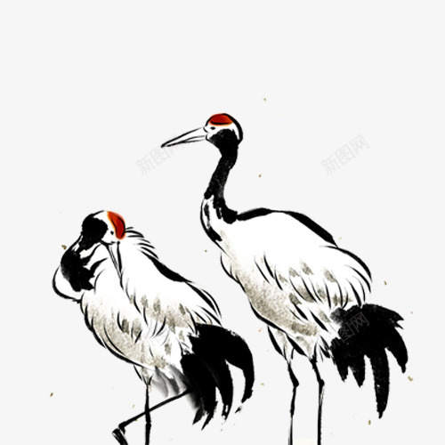 丹顶鹤手绘插画png免抠素材_新图网 https://ixintu.com 丹顶鹤 动物 手绘 插画 水墨画