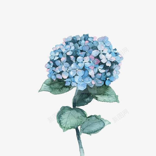 薰衣草花片png免抠素材_新图网 https://ixintu.com 一簇花 手绘花朵 紫色 薰衣草