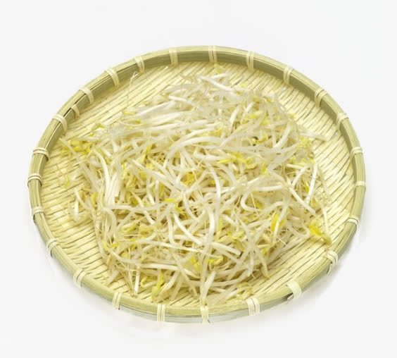 自制豆芽png免抠素材_新图网 https://ixintu.com 簸箕 绿豆豆芽 豆芽 豆芽菜