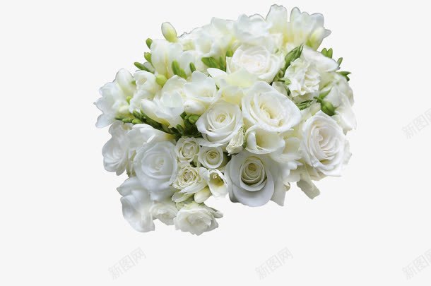 白色花簇实物png免抠素材_新图网 https://ixintu.com 实物 白色 花簇