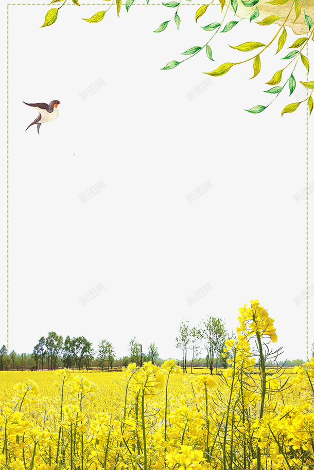 春季油菜花与树叶装饰边框psd免抠素材_新图网 https://ixintu.com 大自然景色边框 春季 春游 春色 植物边框 油菜花装饰边框 花朵装饰边框