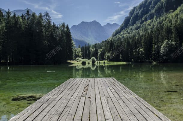 森林清澈湖面倒影jpg设计背景_新图网 https://ixintu.com 倒影 森林 清澈 湖面
