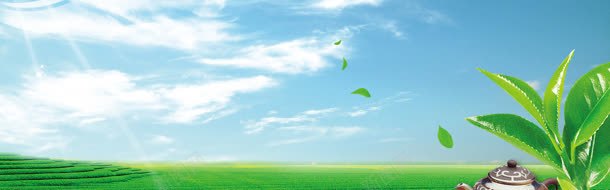 阳光茶园横幅蓝色绿色jpg设计背景_新图网 https://ixintu.com 横幅 绿色 茶园 蓝色 阳光