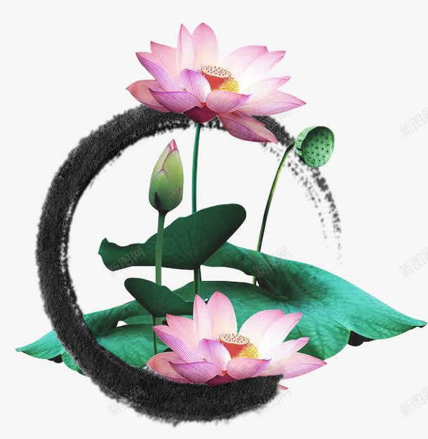 荷花psd免抠素材_新图网 https://ixintu.com 墨迹 水墨画 笔刷 荷花
