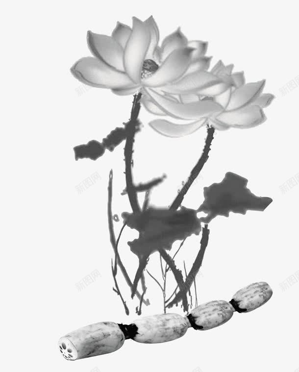 黑白水墨荷花png免抠素材_新图网 https://ixintu.com 国画 手绘 手绘藕 枝干 植物 水墨画 荷花 莲蓬 莲藕