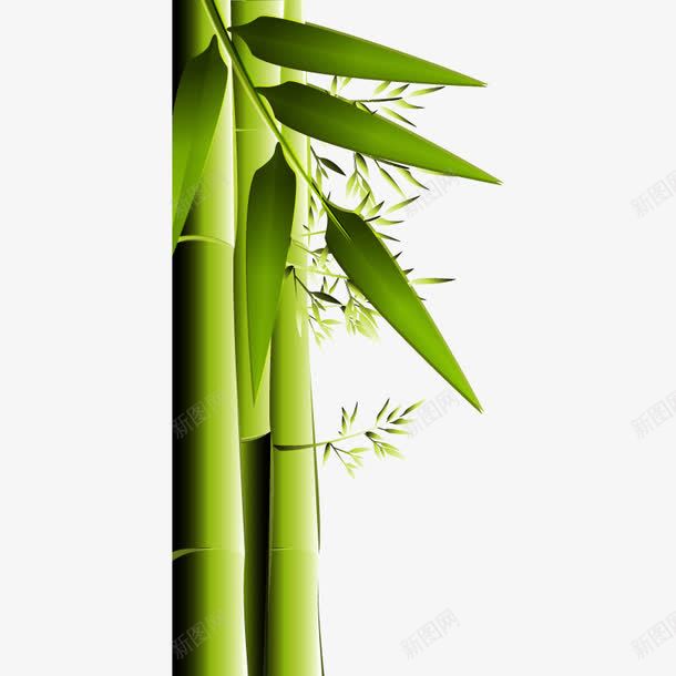 绿色竹子矢量图ai免抠素材_新图网 https://ixintu.com 廉政 正直 竹炭 绿竹 矢量图