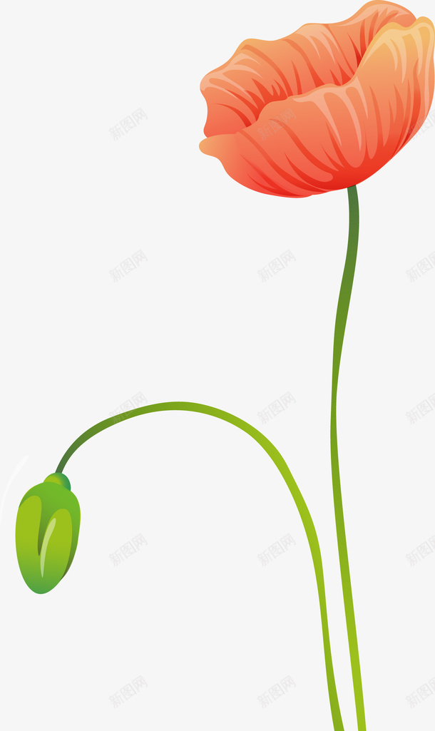 罂粟花手绘图png免抠素材_新图网 https://ixintu.com 叶子 手绘罂粟花 春季 植物 水彩罂粟手绘 水彩花 红色 绿色叶子 罂粟 罂粟花 罂粟花手绘 花 花卉 花朵