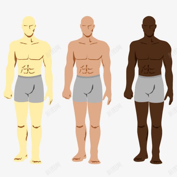 肌肉男士腹部腹肌矢量图ai免抠素材_新图网 https://ixintu.com 男人瘦腹部 男士瘦腹部 肌肉男士 腹部 腹部瘦身 腹部腹肌 矢量图