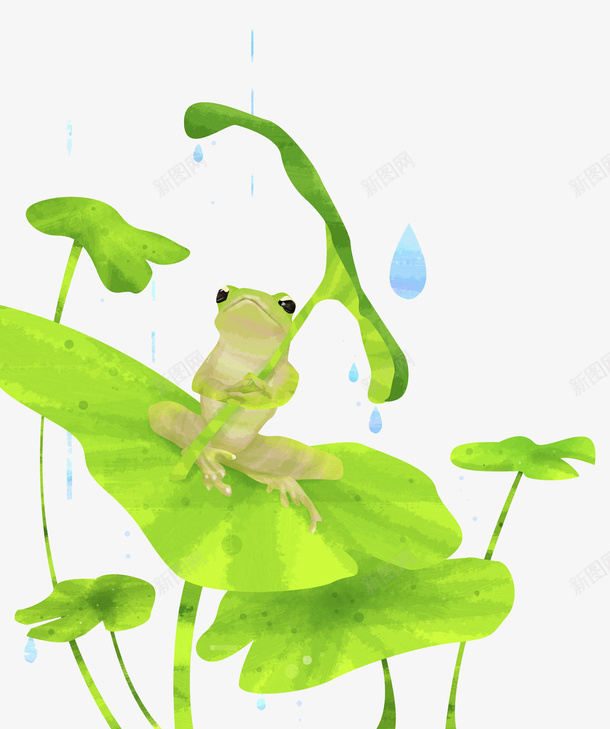 手绘拿着荷叶躲雨的青蛙png免抠素材_新图网 https://ixintu.com 两栖类动物 体外受精 卡通青蛙 手绘青蛙 蛙科 蝌蚪 跳跳蛙