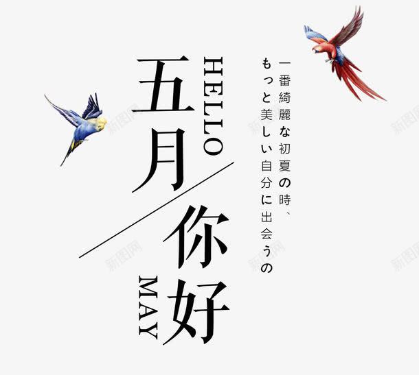 五月你好特惠促销png免抠素材_新图网 https://ixintu.com May hello 五月 五月你好 五月特惠 你好5月 你好五月 夏上新 夏天 夏季 夏季新品 夏日促销 小鸟 文字排版