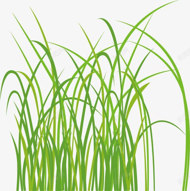 杂草装饰假花假草png免抠素材_新图网 https://ixintu.com 假草 假草地 假草坪 假草堆 假草皮 绿色 草地 装饰假花假草 青草