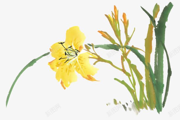 水墨水仙花png免抠素材_新图网 https://ixintu.com 中国风 国画 水仙花 水墨画 黄水仙