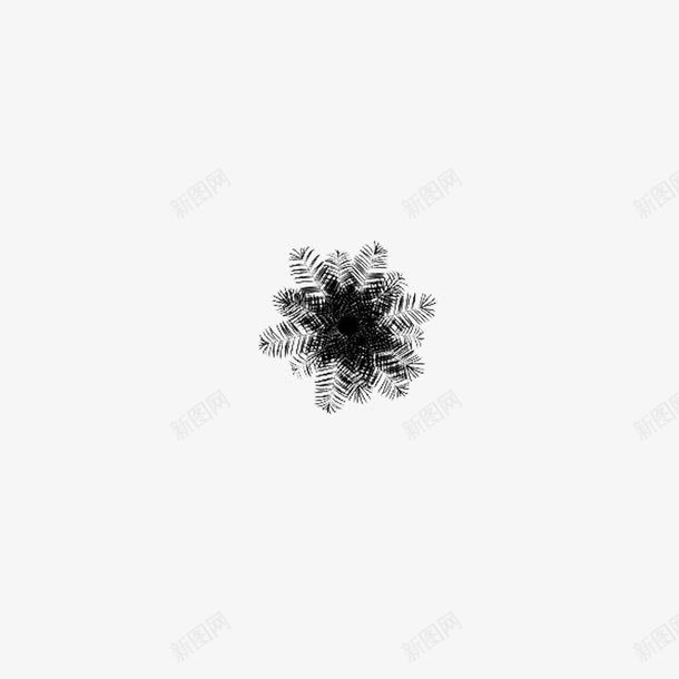 俯视椰子树剪影png免抠素材_新图网 https://ixintu.com 乔木艺术 俯视树 树俯视 树顶 植物识别 椰子树俯视图 椰子树剪影 椰子树顶视图 海报设计