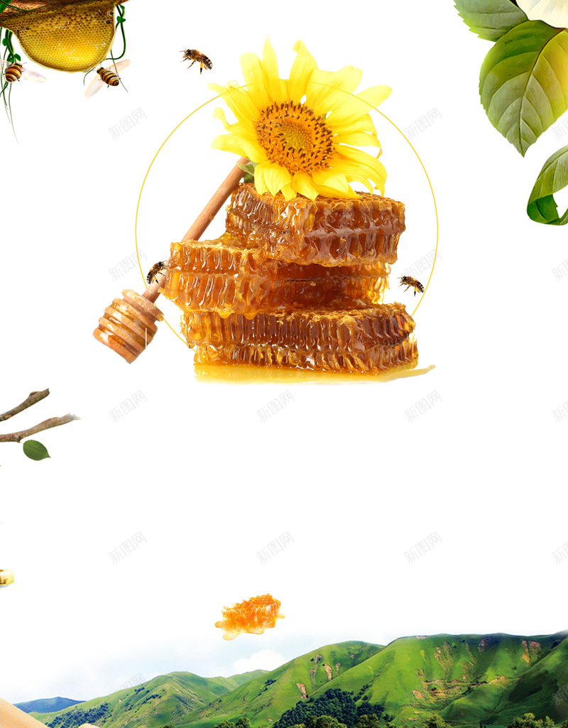 白色简约小清新纯天然蜂蜜养生海报jpg设计背景_新图网 https://ixintu.com 保健品 养生食品 养蜂场 土蜂蜜 滋补 美食 自然 蜂胶 蜂蜜 蜂蜜养殖 蜂蜜名片 蜂蜜礼品