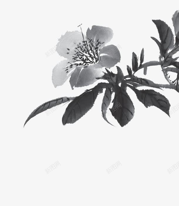 水墨花朵花枝装饰png免抠素材_新图网 https://ixintu.com 水墨 花朵 花枝 装饰