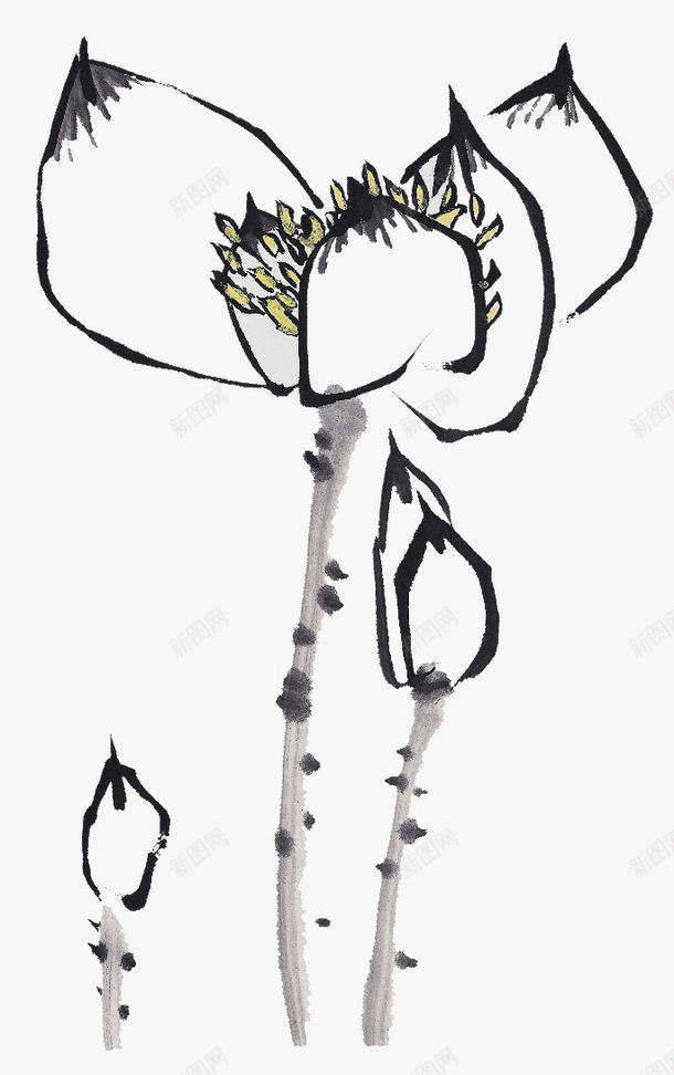 水墨荷花花蕾透明png免抠素材_新图网 https://ixintu.com png图片 png大图 免扣 免扣png图片 水墨荷花 花蕾