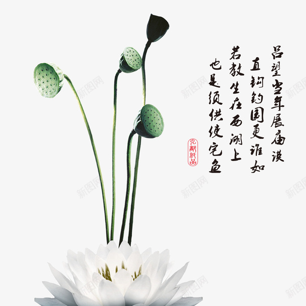 清明节水墨风荷花背景元素psd免抠素材_新图网 https://ixintu.com 水墨山水画 清明水墨风 清明节日 清明节水墨风 清明节海报 荷花