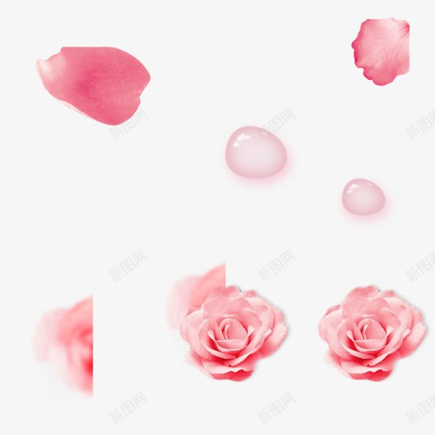 花朵png免抠素材_新图网 https://ixintu.com 护肤 水珠 玫瑰精华 粉色花朵 花瓣