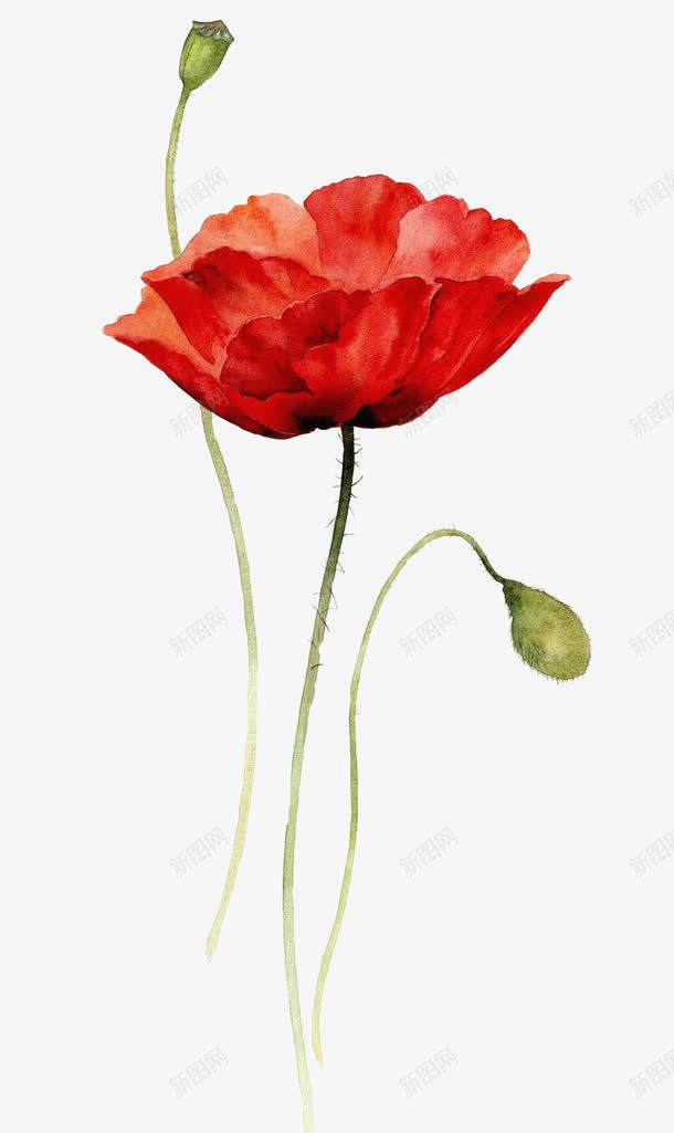抽象鲜花手绘花朵红色花束png免抠素材_新图网 https://ixintu.com 手绘鲜花 抽象鲜花 红色 花卉图案 花束 鲜花 鲜花元素 鲜花图片 鲜花素材