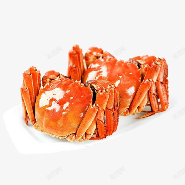 大闸蟹食品png免抠素材_新图网 https://ixintu.com 大闸蟹 橙色 秋蟹 阳澄湖