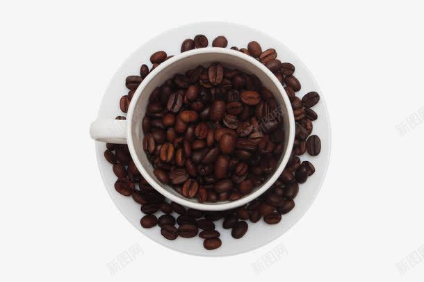 白色杯子里的咖啡豆png免抠素材_新图网 https://ixintu.com coffee 冲饮 卡布基诺 咖啡 咖啡豆 抵抗困意 振奋精神 提神 杯子 热的 热饮 苦的 颗粒 饮料